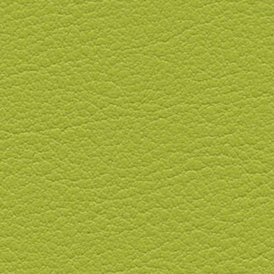 Lime - 63
