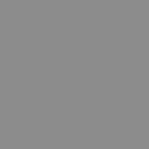 Side panel – Silver