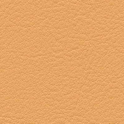 Apricot - 73
